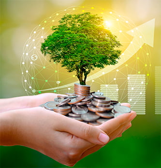 VISUEL COUV 333x348px